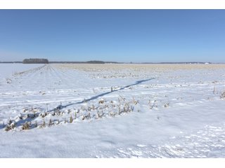 Property photo 57 - OHIO REAL ESTATE AUCTION - 202+/- ACRES IN 3 TRACTS IN VAN WERT COUNTY, OHIO